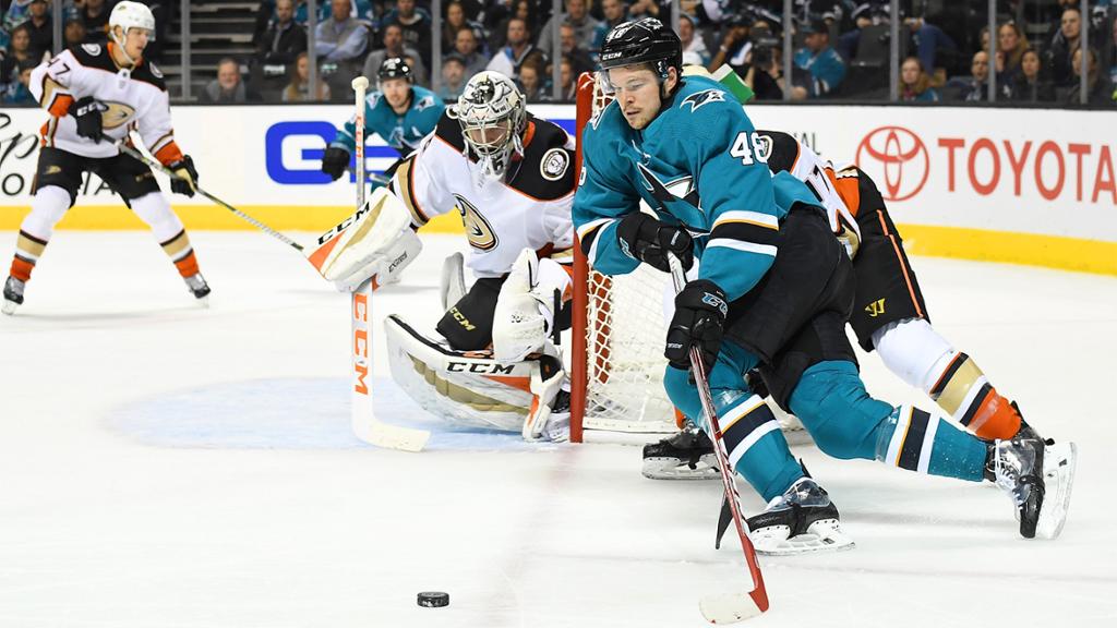 San Jose Sharks vs. Anaheim Ducks